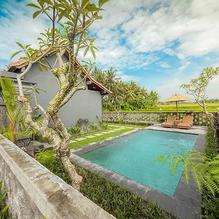 Sri Aurora Guest House